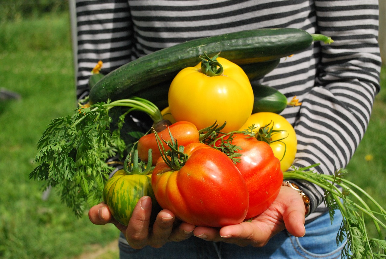 Veggie Gardening Tips voor een succesvolle oogst volgend jaar